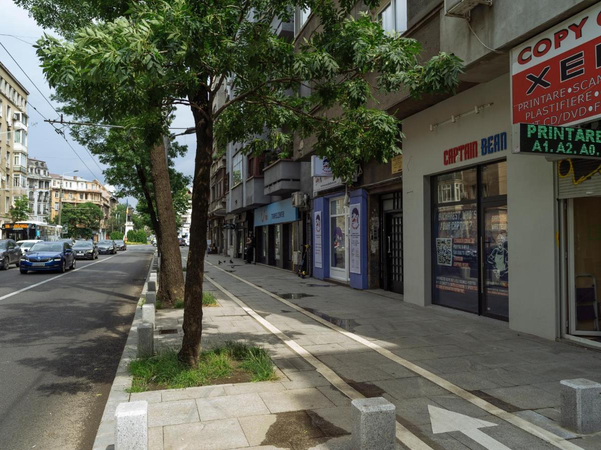 Beautiful Modern Studio - Cismigiu Park - Netflix Bucareste Exterior foto